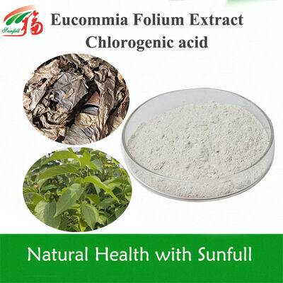 High-Purity Eucommia Ulmoides Leaf Extract Chlorogenic Acid | 5%-99% Specifications in Stock | Natural Antioxidant