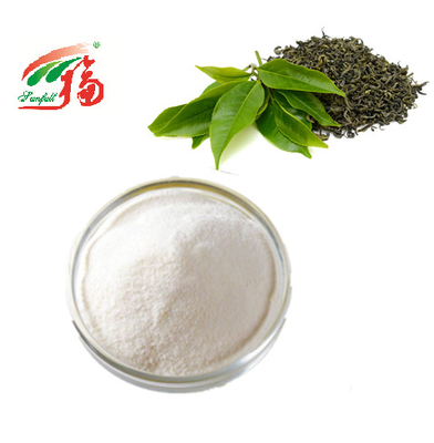 مسحوق مستخلص الشاي الأخضر كوشير 98٪ EGCG Epigallocatechin Gallate لمستحضرات التجميل